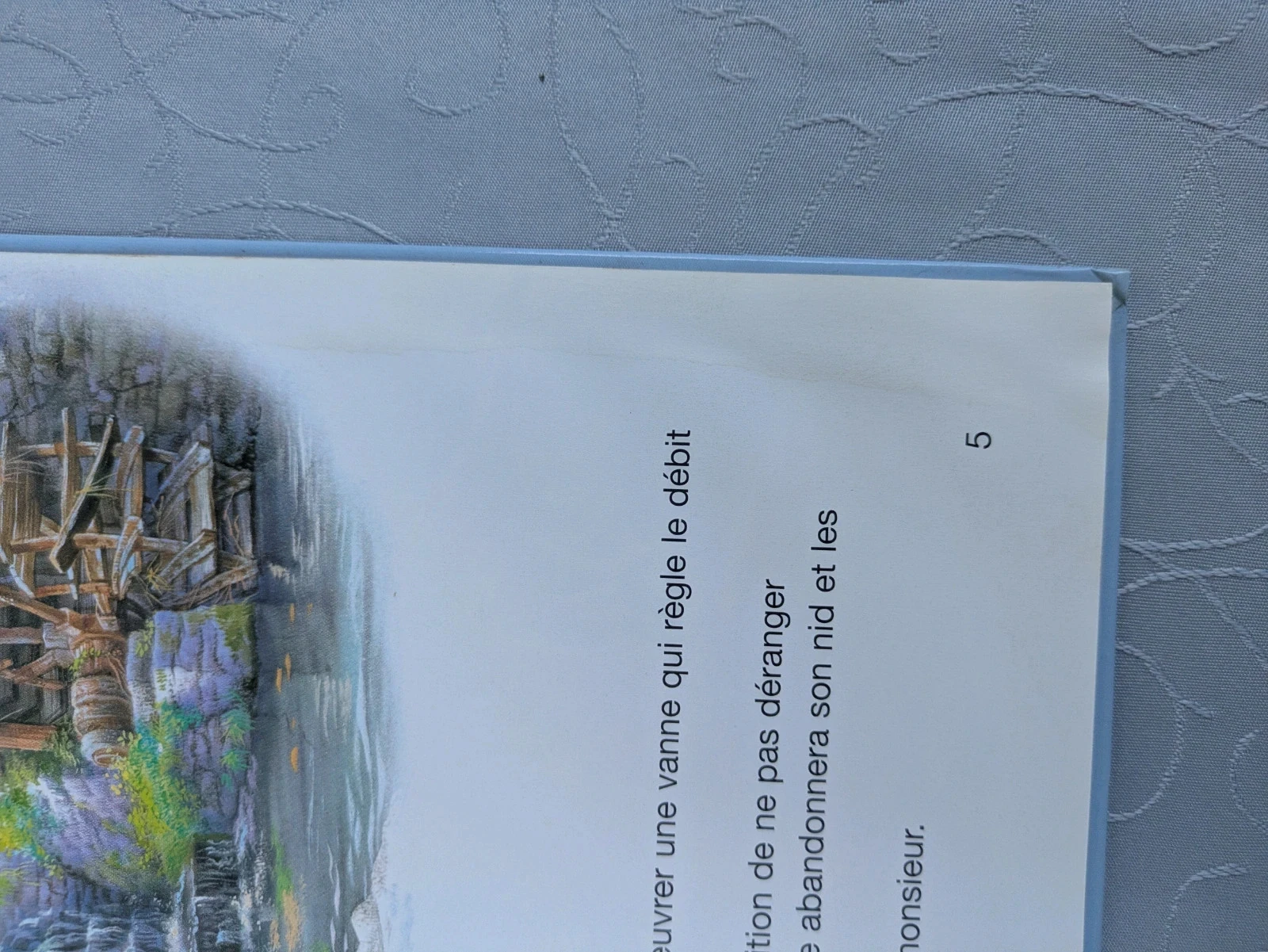 Libro Martine – photo 7